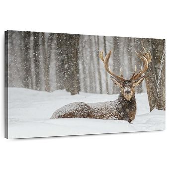 Snow Covered Elk Wall Art