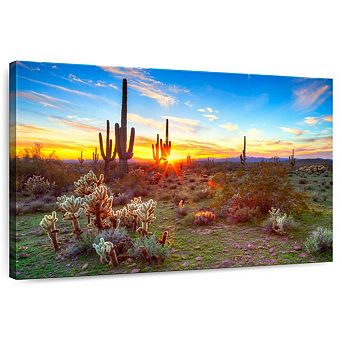 Sonoran Desert Sunset Landscape Wall Art