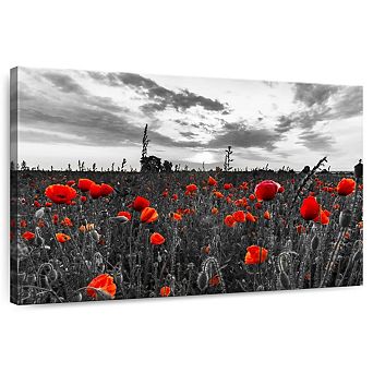 Poppy Field At Dusk Pop Wall Art