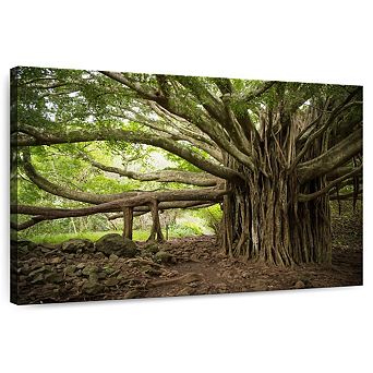 Banyan Tree Wall Art