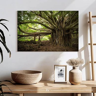 Banyan Tree Wall Art