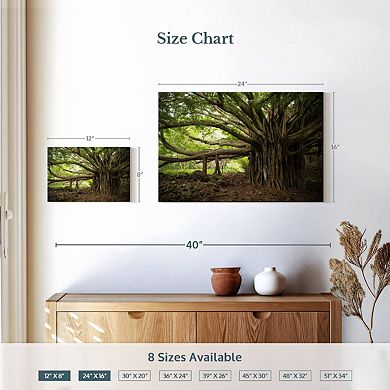 Banyan Tree Wall Art