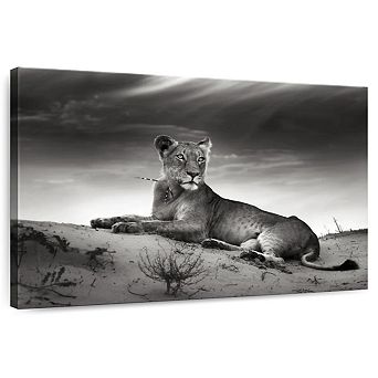 Lioness Wall Art