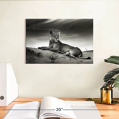Lioness Wall Art
