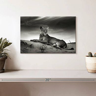 Lioness Wall Art