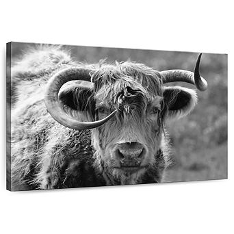 Monochrome Highland Cow Wall Art