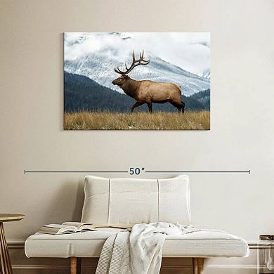 Mountain Bull Elk Wall Art