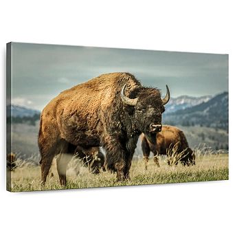 Wyoming Bison Wall Art