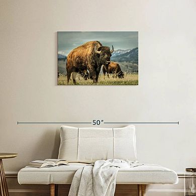 Wyoming Bison Wall Art