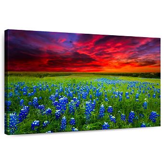 Bluebonnets At Sunset I Wall Art