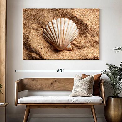 Beach Scallop Shell Wall Art