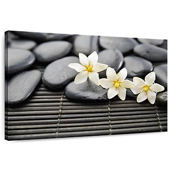 Zen Stones And Flowers Wall Art