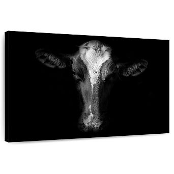 Monochrome Cow Face Wall Art