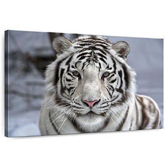 Endangered White Tiger Wall Art