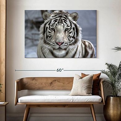 Endangered White Tiger Wall Art
