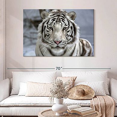 Endangered White Tiger Wall Art