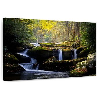 Stream In The Smokies Wall Art