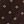 Brown Gina Foulard