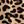 Tan Wild Cheetah