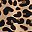 Tan Wild Cheetah