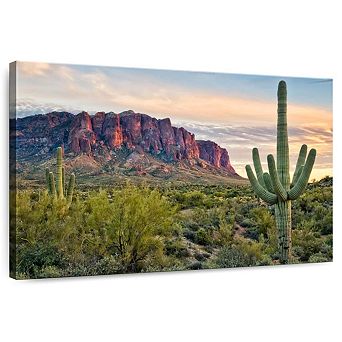 Cacti View II Wall Art