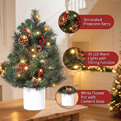 Mini Christmas Tree Pre-Lit with 30 LED Christmas Decorations Battery-Operated Lights, Desk Decor