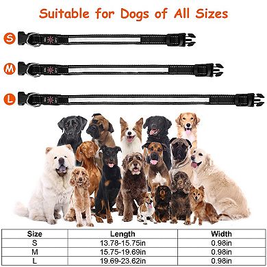 USB Rechargeable LED Dog Collar