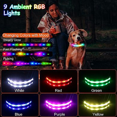 USB Rechargeable LED Dog Collar