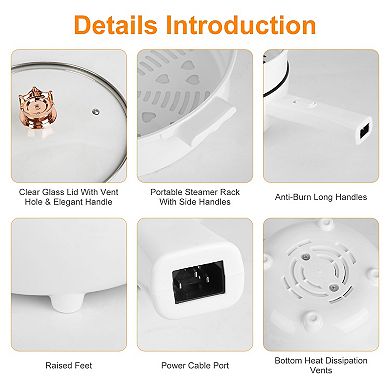 Electric Hot Pot Cooker with Non-Stick Frying Pan, Steamer & Dual Power Control