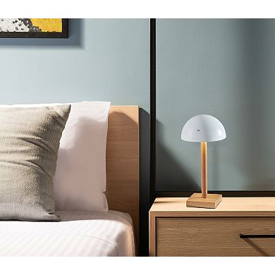 ADESSO Nash LED Cordless Table Lamp