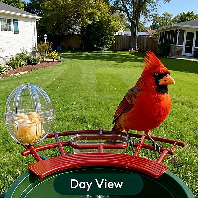 Smart Solar Bird Feeder with 3MP Camera, AI Bird Recognition, Wide-Angle Lens, App Control