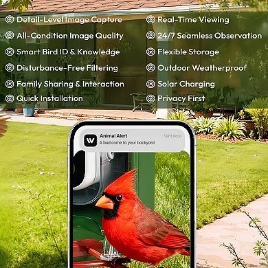 Smart Solar Bird Feeder with 3MP Camera, AI Bird Recognition, Wide-Angle Lens, App Control