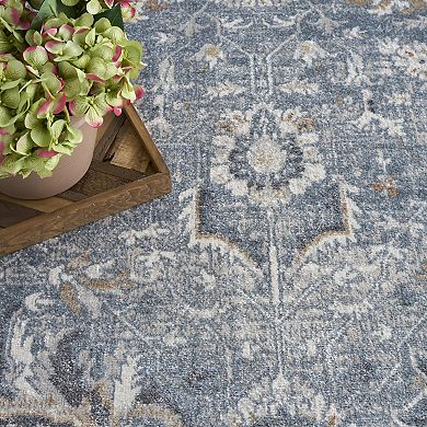 Nourison Astra Bordered Vintage Washable Indoor Area Rug