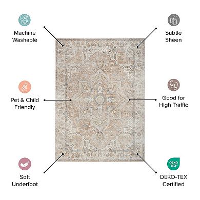 Nourison Astra Bordered Vintage Washable Indoor Area Rug