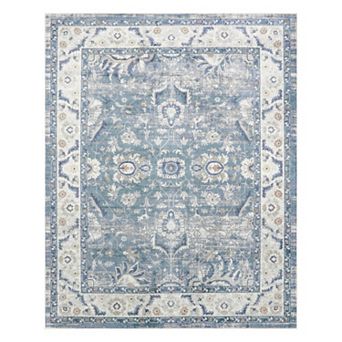 Nourison Astra Bordered Vintage Washable Indoor Area Rug