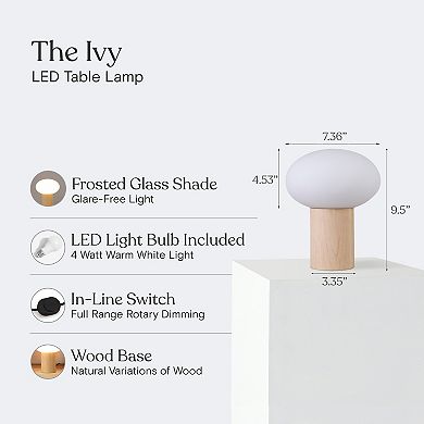 Ivy 9.5" Modern LED Table Lamp with Oval Frosted Glass Shade