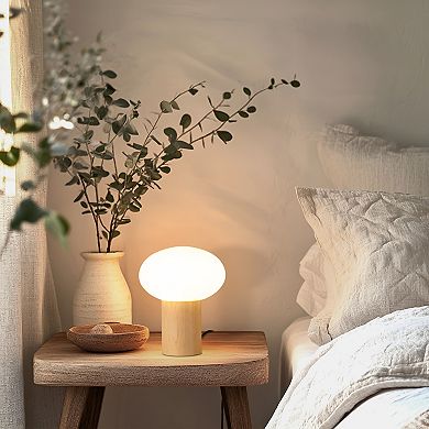 Ivy 9.5" Modern LED Table Lamp with Oval Frosted Glass Shade