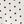 Ivory Brown Dot