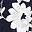 Navy White