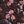 Brown Red Floral
