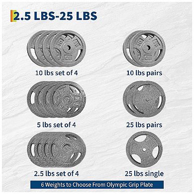 1 Inch Cast Iron Weight Plates Set 4X 5Lbs 1Inch Iron Barbell Weights Plates for Home Gym