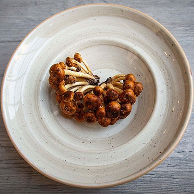 Terrain dia.11" h:2.5" 14 oz. Round Brown Porcelain Bowl (Set of 2)