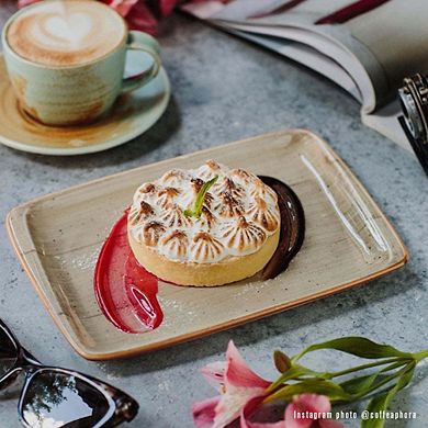 Terrain 9" x 6" Rectangular Brown Porcelain Plate (Set of 2)