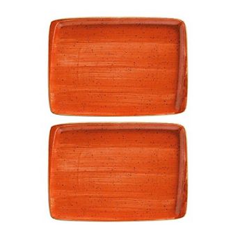Terracota 9" x 6" Rectangular Terracotta Porcelain Plate (Set of 2)