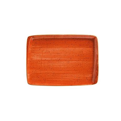 Terracota 9" x 6" Rectangular Terracotta Porcelain Plate (Set of 2)