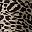 Beige Leopard Spots