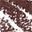 Cacao