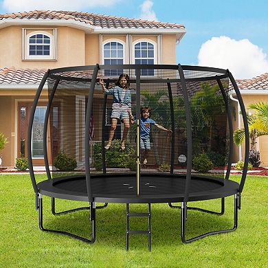 12FT ASTM Certified Black Trampoline with Safety Net and Ladder
