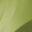 Neon Green