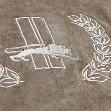 Women's Mitchell & Ness Tan Detroit Lions Full-Snap Varsity Jacket